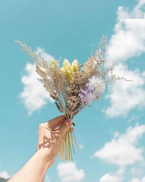 將時光釀成詩 那些溫暖治愈的文字與瞬間